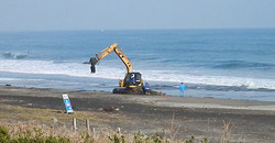 131204eagle1.jpg