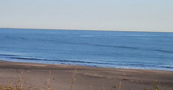 131214eagle2.jpg