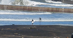 131222taito-noon1.jpg