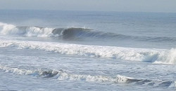 131223eagle1.jpg