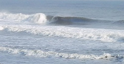 131223eagle2.jpg