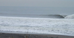 131226-eagle1.jpg