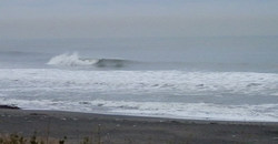 131226-eagle3.jpg
