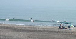 1340810eagle1.jpg