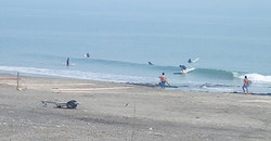 1340810eagle2.jpg
