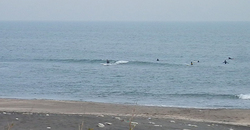 140104eagle1.jpg