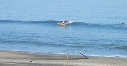 140108eagle1.jpg