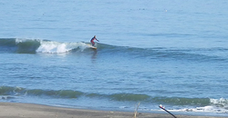 140108eagle2.jpg