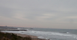 140115eagle1.jpg