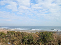 140121taito-view1.jpg