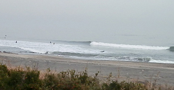 140125eagle2.jpg
