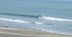 140203eagle1.jpg
