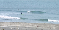 140203eagle2.jpg