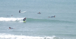140203eagle3.jpg