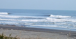 140217eagle1.jpg