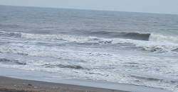 140224eagle1.jpg