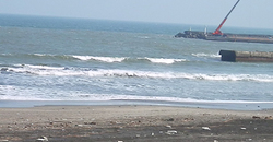 140226taito1.jpg