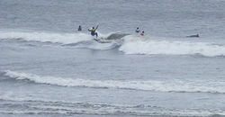 140227eagle1.jpg