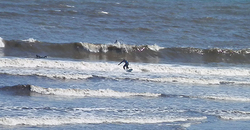 140304taito2.jpg