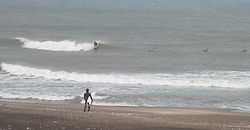 140313eagle1.jpg