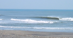 140316eagle1.jpg