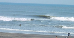 140316eagle2.jpg