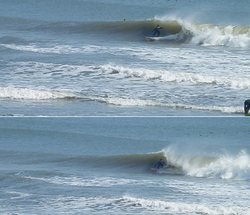 140316eagle3.jpg