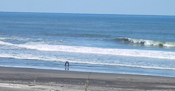 140322eagle2.jpg