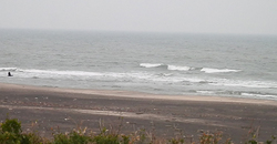 140327eagle.jpg