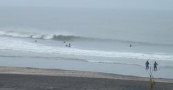 140330eagle1.jpg