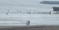 140330taito1.jpg