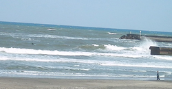 140401taito1.jpg