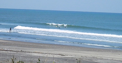 140407noon-eagle.jpg