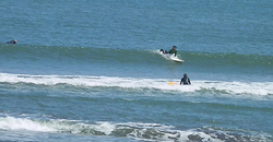 140407noon-taito.jpg