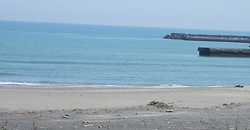 140408taito1.jpg
