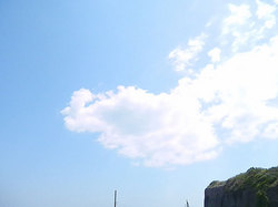 140415taito-view.jpg