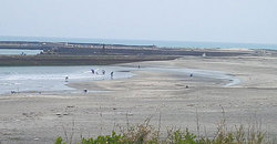140416taito-1121.jpg