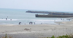 140416taito-1121a.jpg