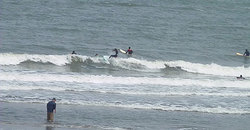 140417taito4.jpg