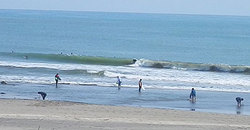 140427eagle1.jpg
