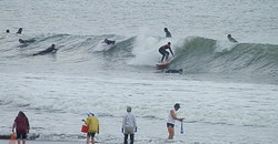 140429eagle1.jpg