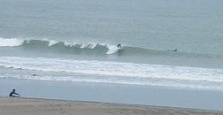 140430eagle1.jpg