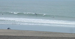 140430eagle2.jpg
