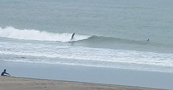 140430eagle3.jpg