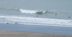 140430eagle4.jpg