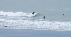 140430eagle5.jpg