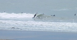 140430eagle6.jpg