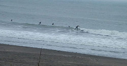 140430pm-eagle-c.jpg