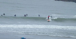 140430taito7.jpg