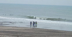 140501eagle1.jpg
